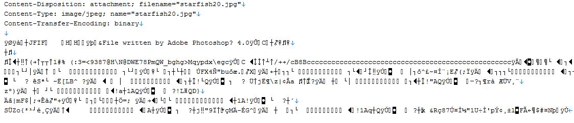 c# to base64